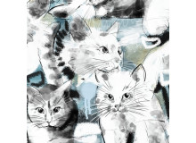 Bio Baumwolle Lillestoff - Graffitti Cat
